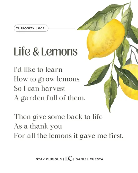 Life’s Not About Lemonade: 